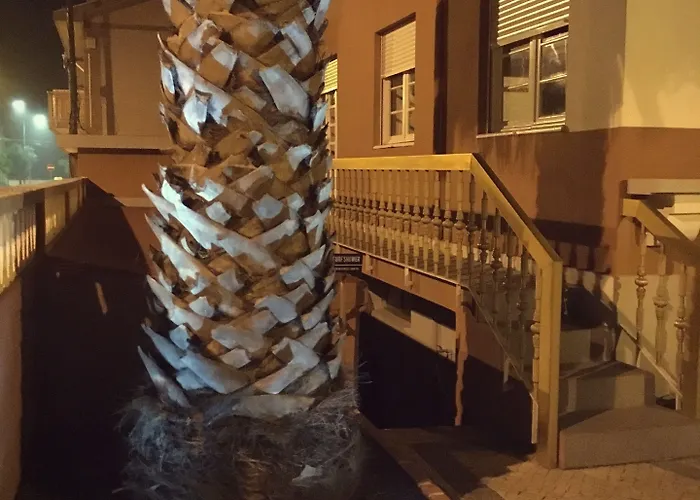 Couette-café Coast Surf House 3*