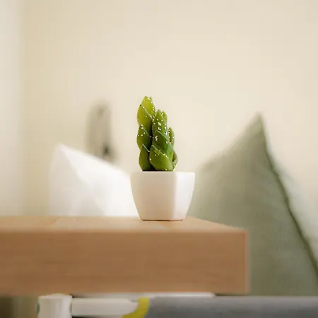 Green Coast Surf House 3*
