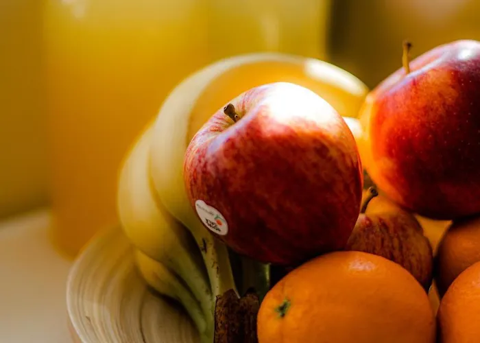 Bed & Breakfast Coast Surf House