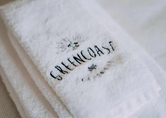 Coast Surf House Bed & Breakfast